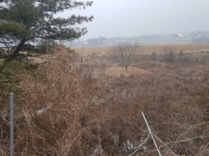 강원특별자치도 춘천시 동내면 고은길 109-4 (주건축물제1동) 외 2 필지 외 1개 동