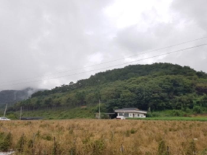 강원특별자치도 홍천군 두촌면 철정리 산56-2