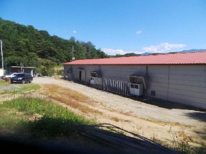 강원특별자치도 양구군 동면 덕곡리 470 주건축물제1동 외 3 필지 외 2개 동