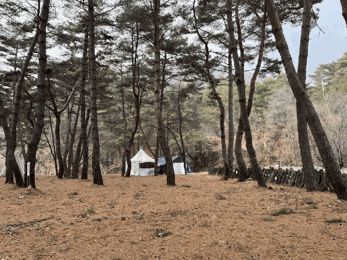 강원특별자치도 인제군 기린면 방동리 713 외 12 필지