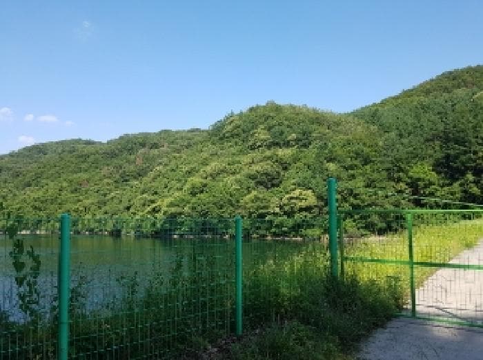 강원특별자치도 춘천시 남산면 수동리 산75