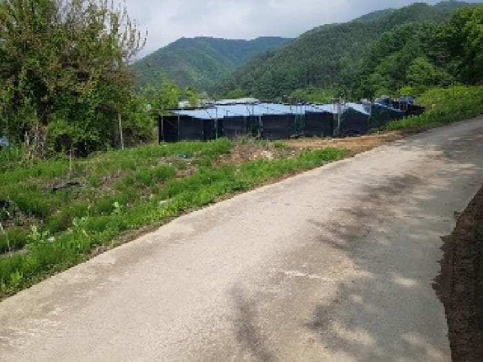 강원특별자치도 홍천군 두촌면 자은리 115 외 2 필지