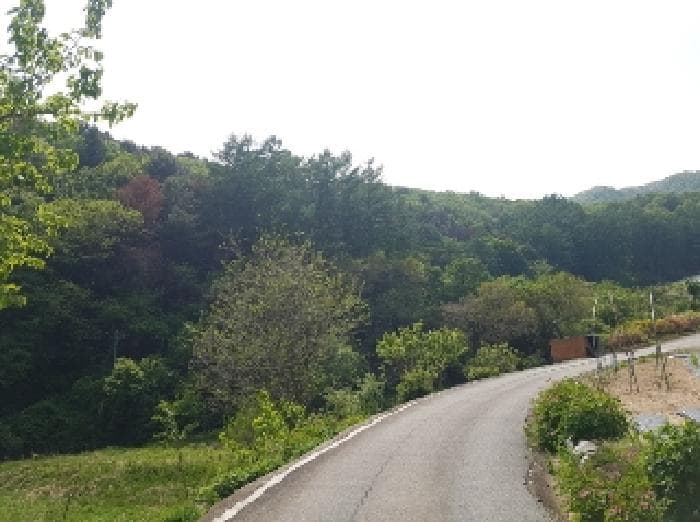 강원특별자치도 춘천시 남산면 창촌리 산156-6