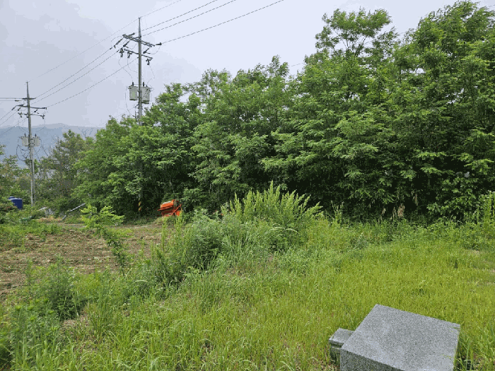 강원특별자치도 인제군 서화면 서흥리 897-6