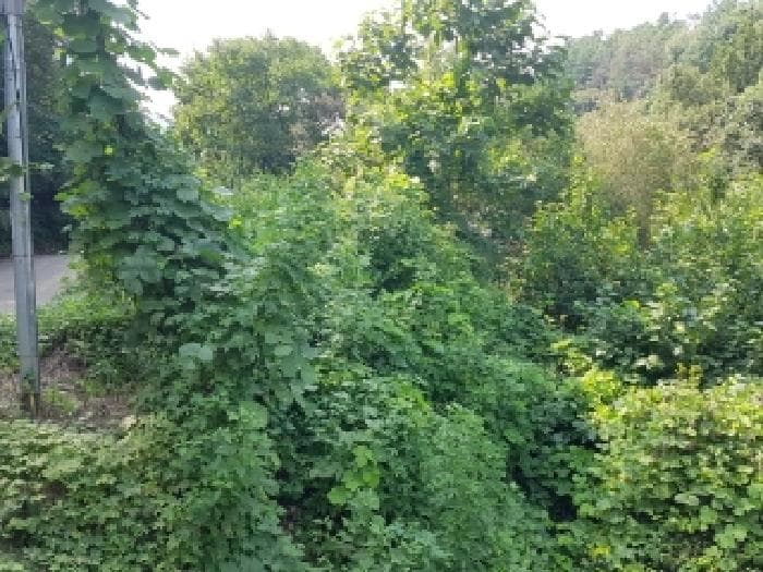강원특별자치도 춘천시 남산면 수동리 560