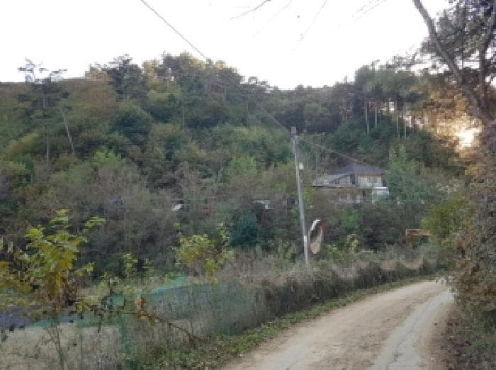 강원특별자치도 홍천군 남면 화전리 347 외 2 필지