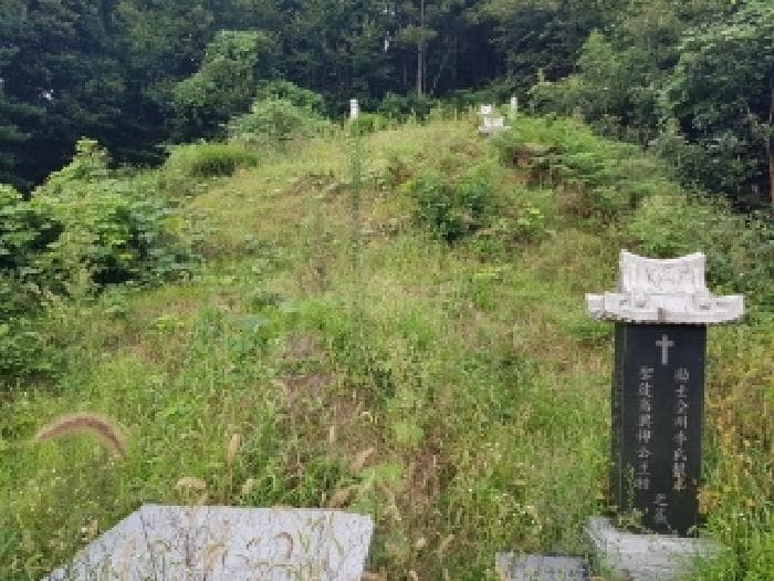 강원특별자치도 춘천시 남산면 방곡리 산20