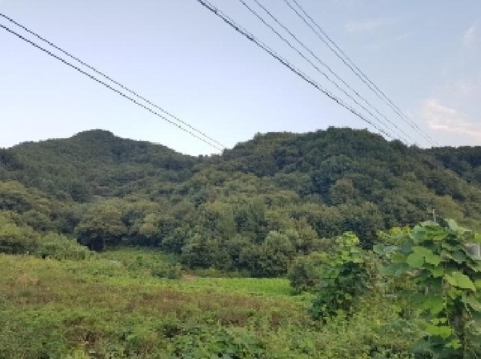 강원특별자치도 홍천군 남면 양덕원리 산19