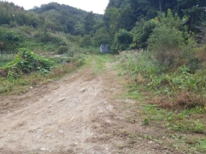 강원특별자치도 춘천시 동산면 조양리 49 외 4 필지