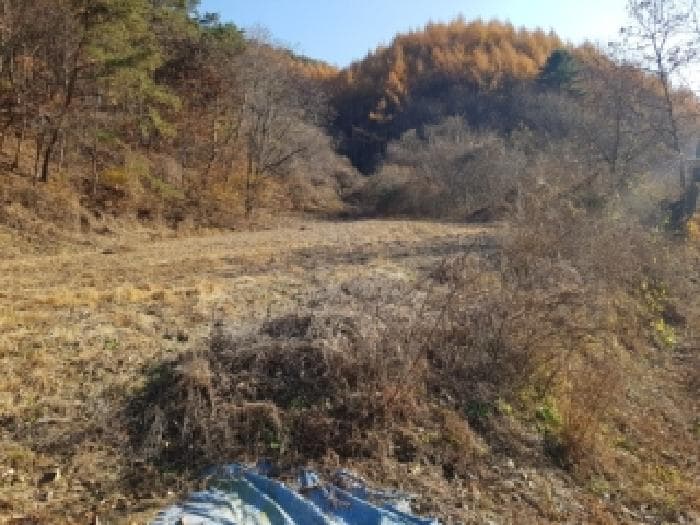 강원특별자치도 홍천군 영귀미면 속초리 274-2