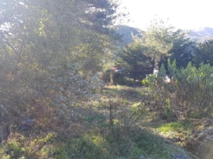 강원특별자치도 인제군 인제읍 가아리 578-3 외 3 필지