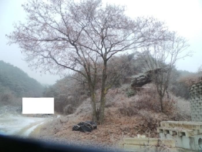 강원특별자치도 춘천시 동면 지내리 산51-3 외 1 필지