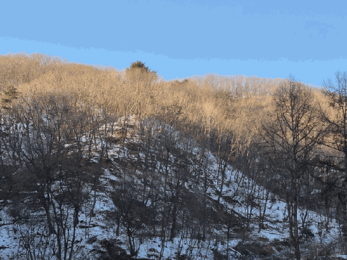 강원특별자치도 화천군 상서면 다목리 산50 외 1 필지