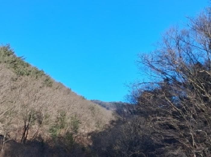 강원특별자치도 춘천시 동산면 원창리 산480 외 16 필지