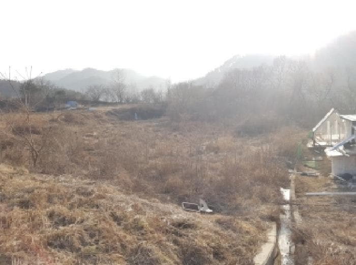 강원특별자치도 홍천군 북방면 노일리 890 외 1 필지