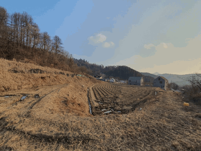 강원특별자치도 춘천시 남면 후동리 229-1 외 1 필지
