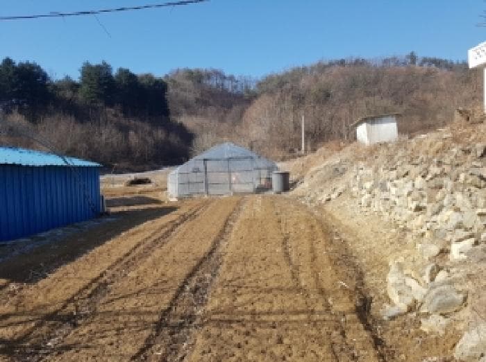 강원특별자치도 양구군 양구읍 학조리 265-4 외 1 필지