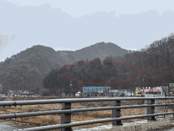 강원특별자치도 홍천군 서면 팔봉리 산214-5 외 1 필지