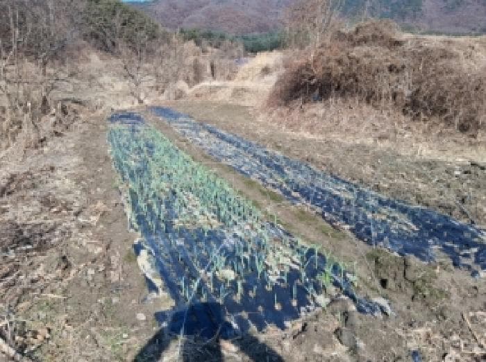 강원특별자치도 춘천시 신북읍 지내리 236-2