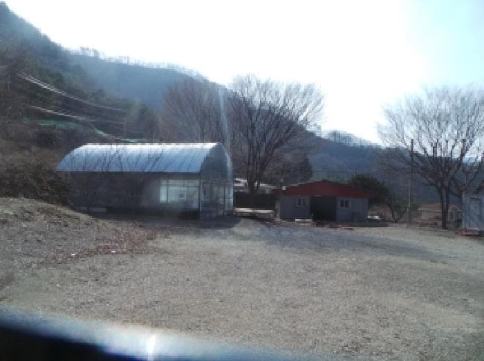강원특별자치도 홍천군 내면 율전리 168-2 외 1 필지