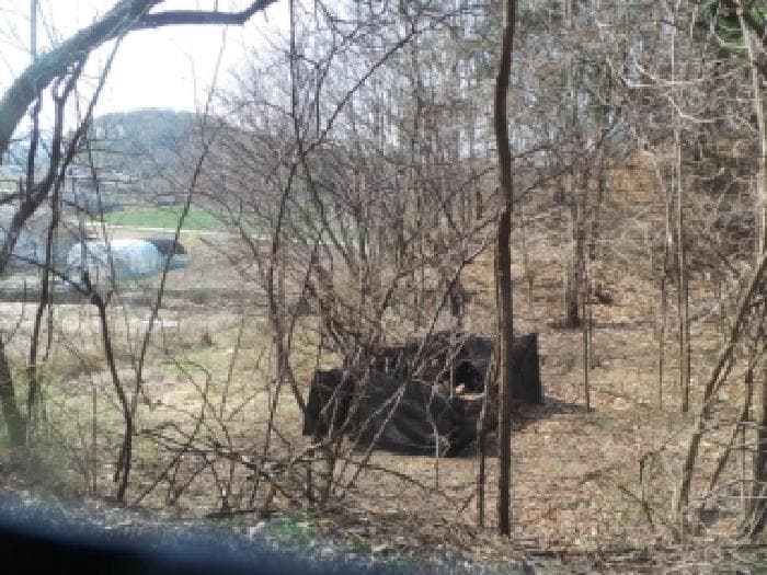 강원특별자치도 홍천군 남면 시동리 산63
