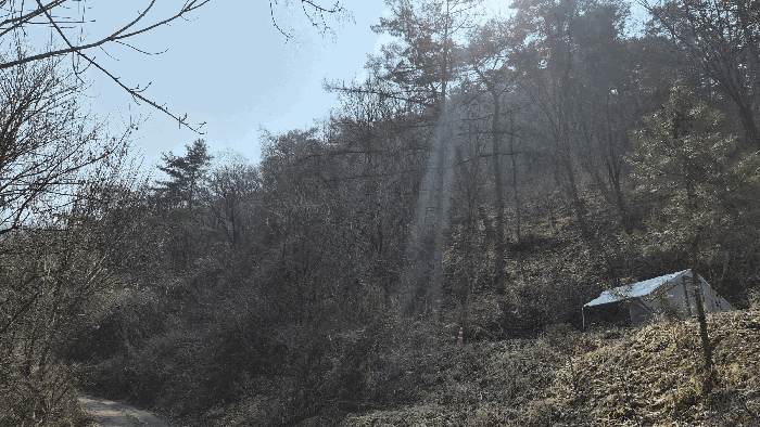 강원특별자치도 홍천군 두촌면 철정리 산37