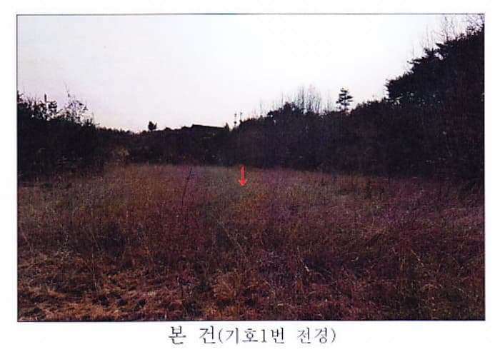강원도 강릉시 사천면 석교리 520-2