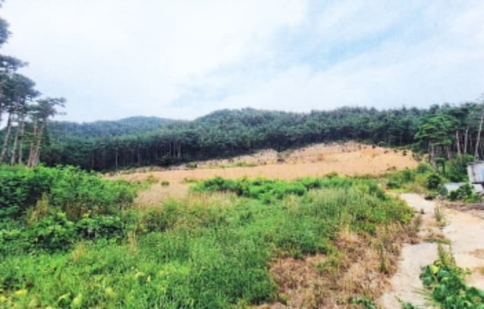 강원특별자치도 강릉시 강동면 산성우리 201-1 외 7 필지