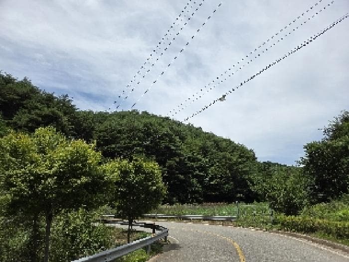 강원특별자치도 삼척시 근덕면 상맹방리 산127 외 1 필지