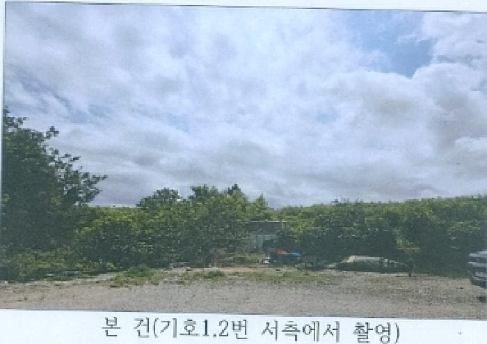 강원특별자치도 강릉시 안현동 산61-7 외 1 필지