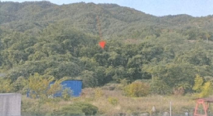 강원특별자치도 삼척시 근덕면 용화리 297-1