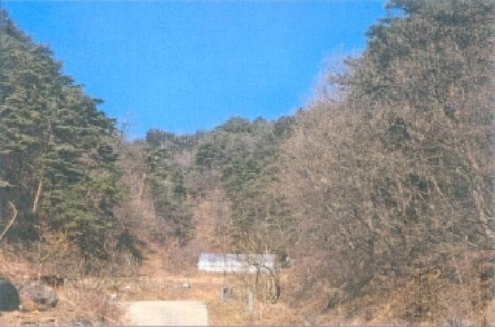 강원특별자치도 삼척시 평전동 산80