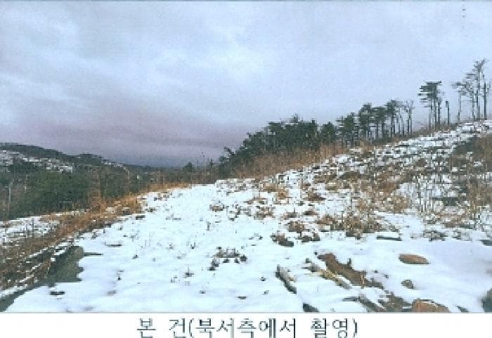 강원특별자치도 동해시 발한동 산31-6