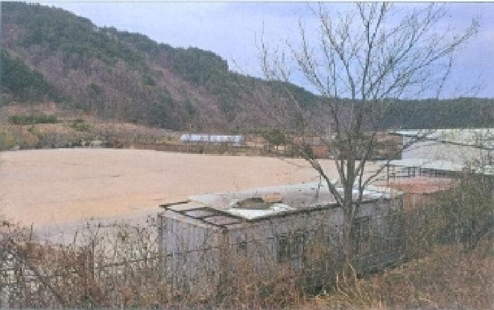 강원특별자치도 삼척시 근덕면 동막리 735 외 2 필지