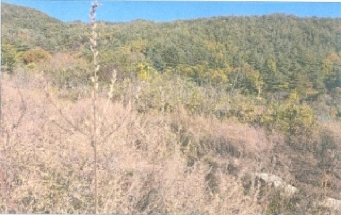 강원특별자치도 강릉시 연곡면 삼산리 818-7 82도하우스 외 1 필지