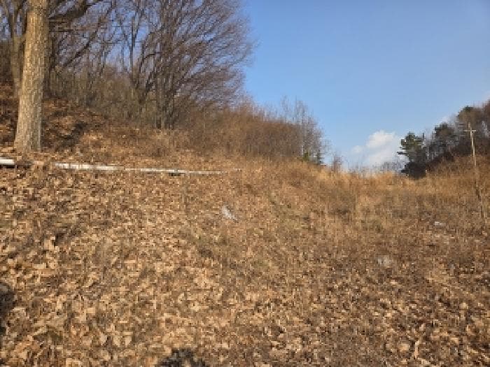 강원특별자치도 삼척시 원덕읍 노곡리 251