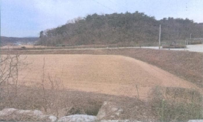 강원특별자치도 강릉시 장현동 289