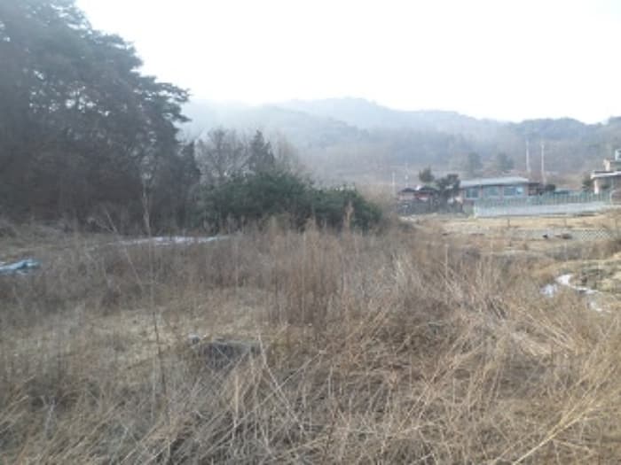 강원특별자치도 원주시 흥업면 흥업리 1316-3