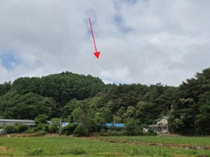 강원특별자치도 횡성군 안흥면 소사리 산216-1