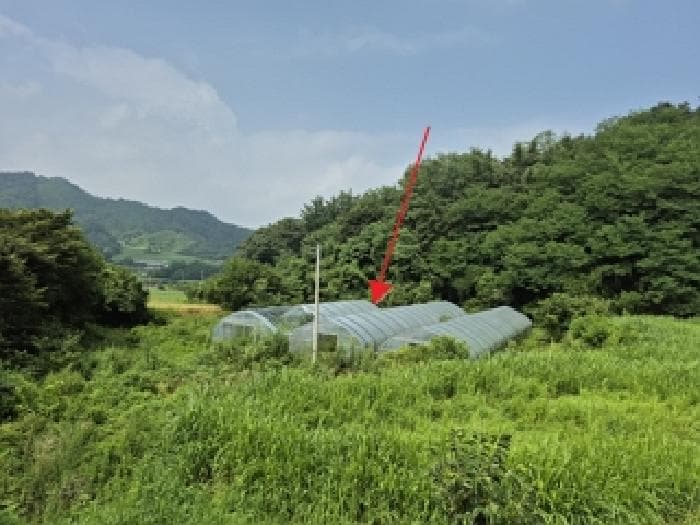 강원특별자치도 횡성군 우천면 하궁리 648-1