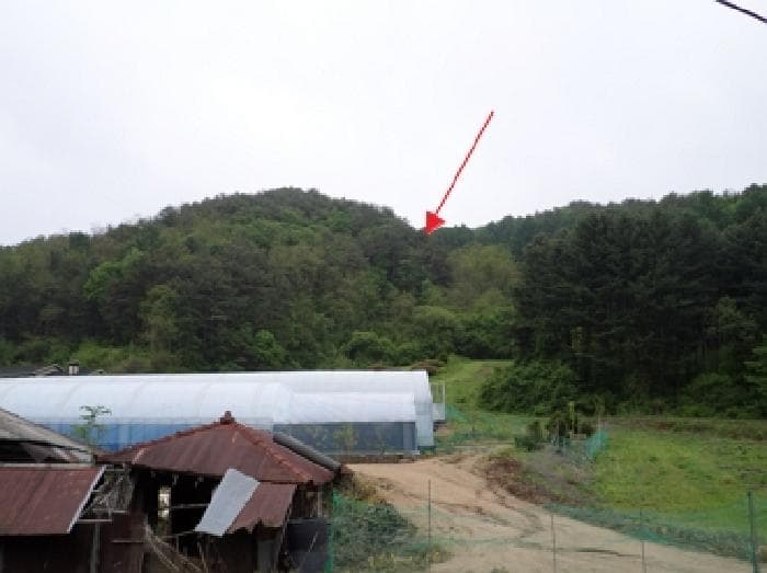 강원특별자치도 횡성군 둔내면 자포곡리 산195-14 외 4 필지