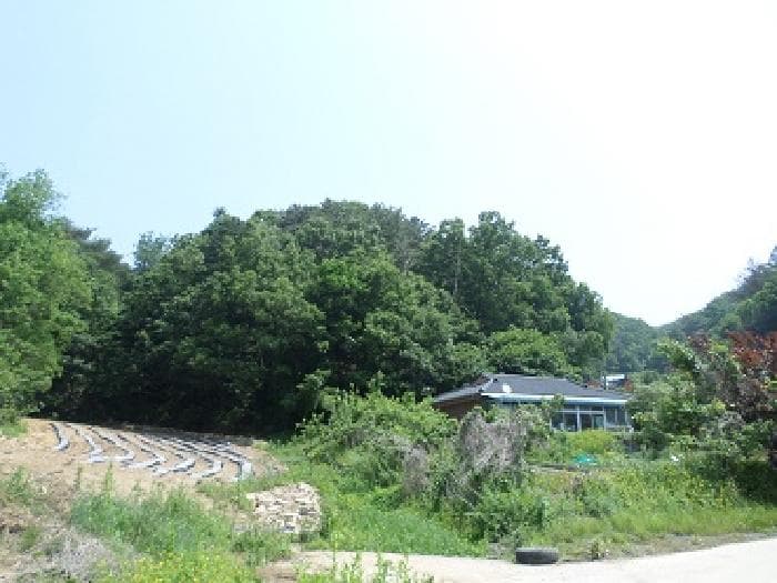강원특별자치도 원주시 문막읍 궁촌리 산94