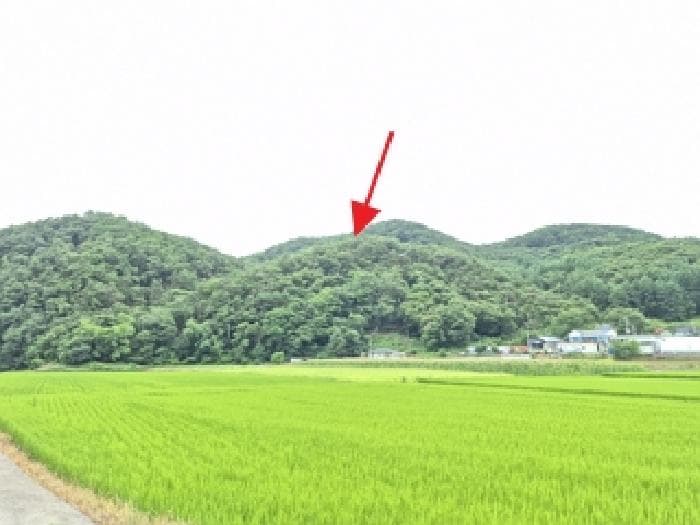 강원특별자치도 원주시 호저면 고산리 산131