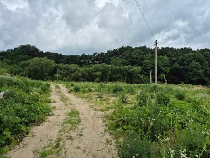 강원특별자치도 횡성군 우천면 우항리 산14-2 외 1 필지