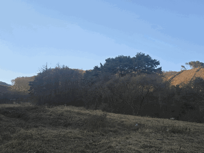 강원특별자치도 원주시 판부면 신촌리 산94