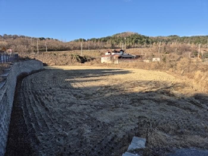 강원특별자치도 고성군 현내면 대진리 350-1 외 1 필지