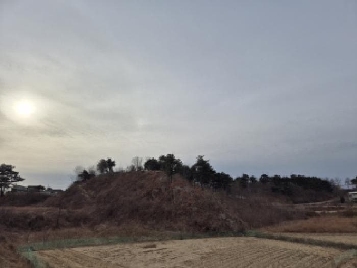 강원특별자치도 고성군 죽왕면 가진리 233-1 외 1 필지