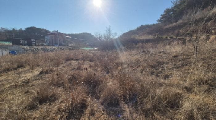 강원특별자치도 양양군 손양면 도화리 100 외 4 필지