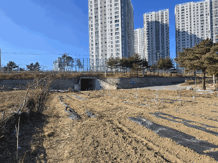 강원특별자치도 고성군 토성면 천진리 180-38 외 1 필지