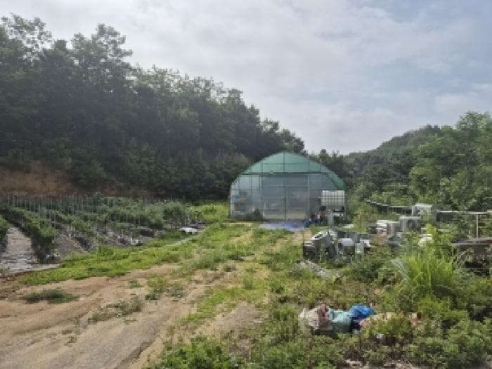 강원특별자치도 양양군 강현면 적은리 175
